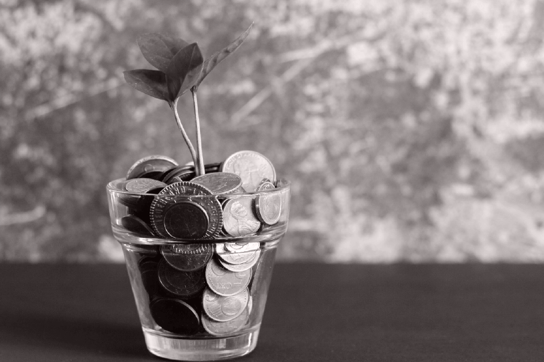 A plant growing from a jar of coins