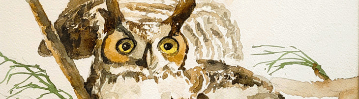 A painting of a great horned owl