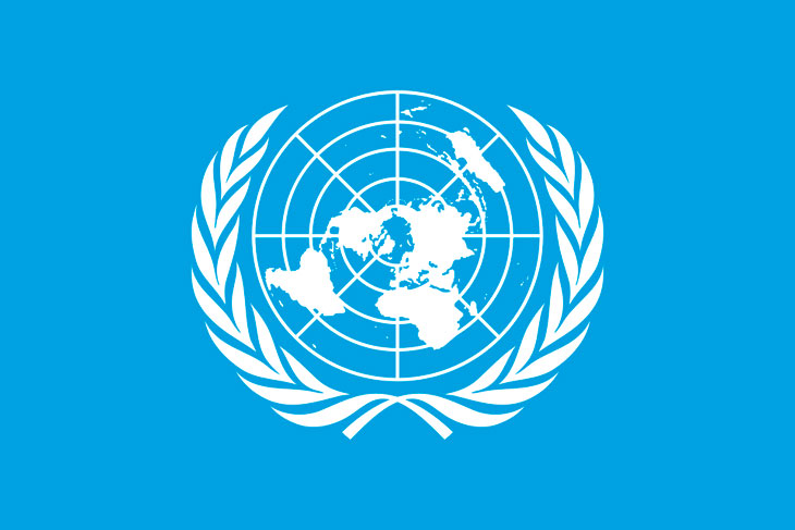 Image of the UN Flag